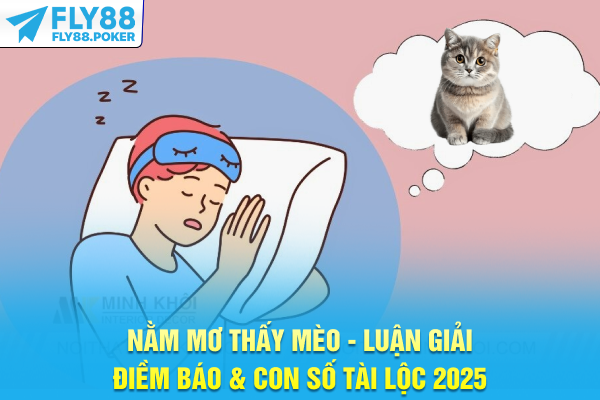 Nằm Mơ Thấy Mèo - Luận Giải Điềm Báo & Con Số Tài Lộc 2025